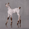 Pecan OOAK Customized Appaloosa Chip Foal By Andrea Thomason LHS24 MHP