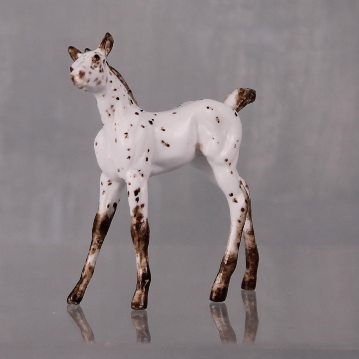 Pecan OOAK Customized Appaloosa Chip Foal By Andrea Thomason LHS24 MHP