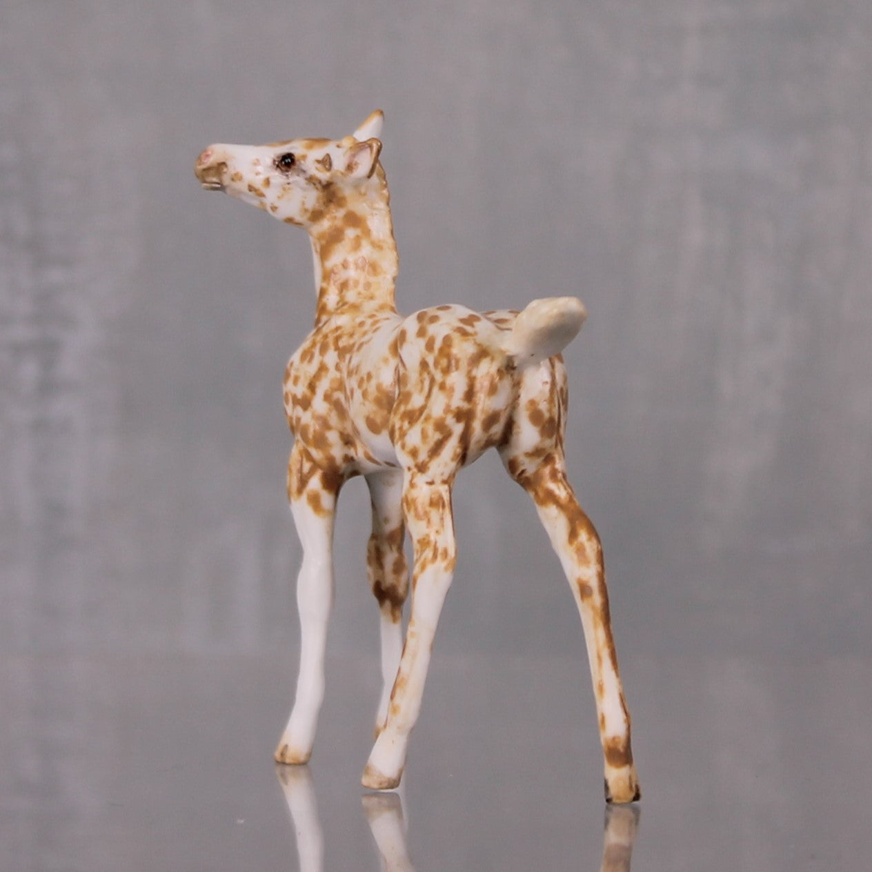 Butterscotch OOAK Appaloosa Chip Foal By Andrea Thomason LHS24 MHP