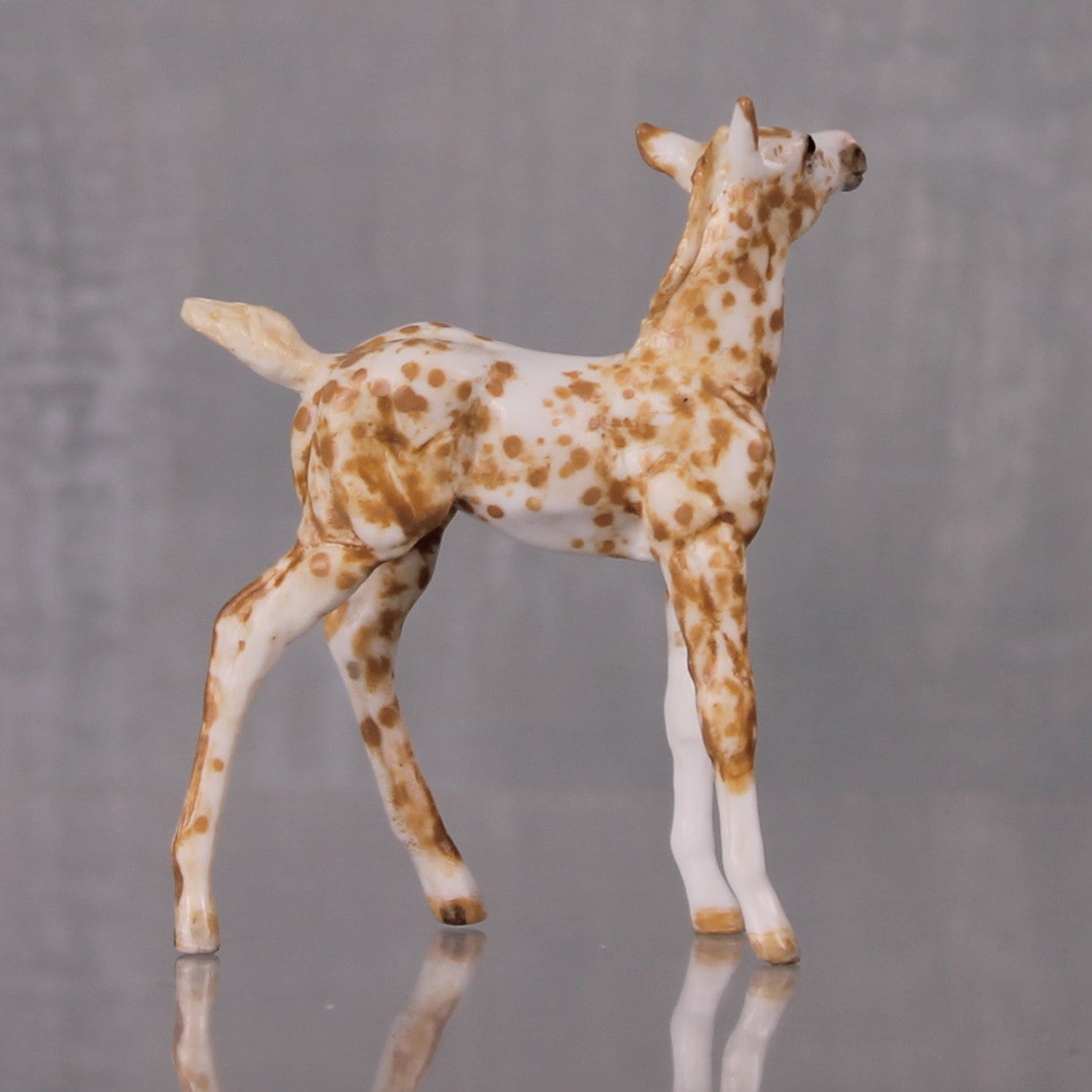 Butterscotch OOAK Appaloosa Chip Foal By Andrea Thomason LHS24 MHP