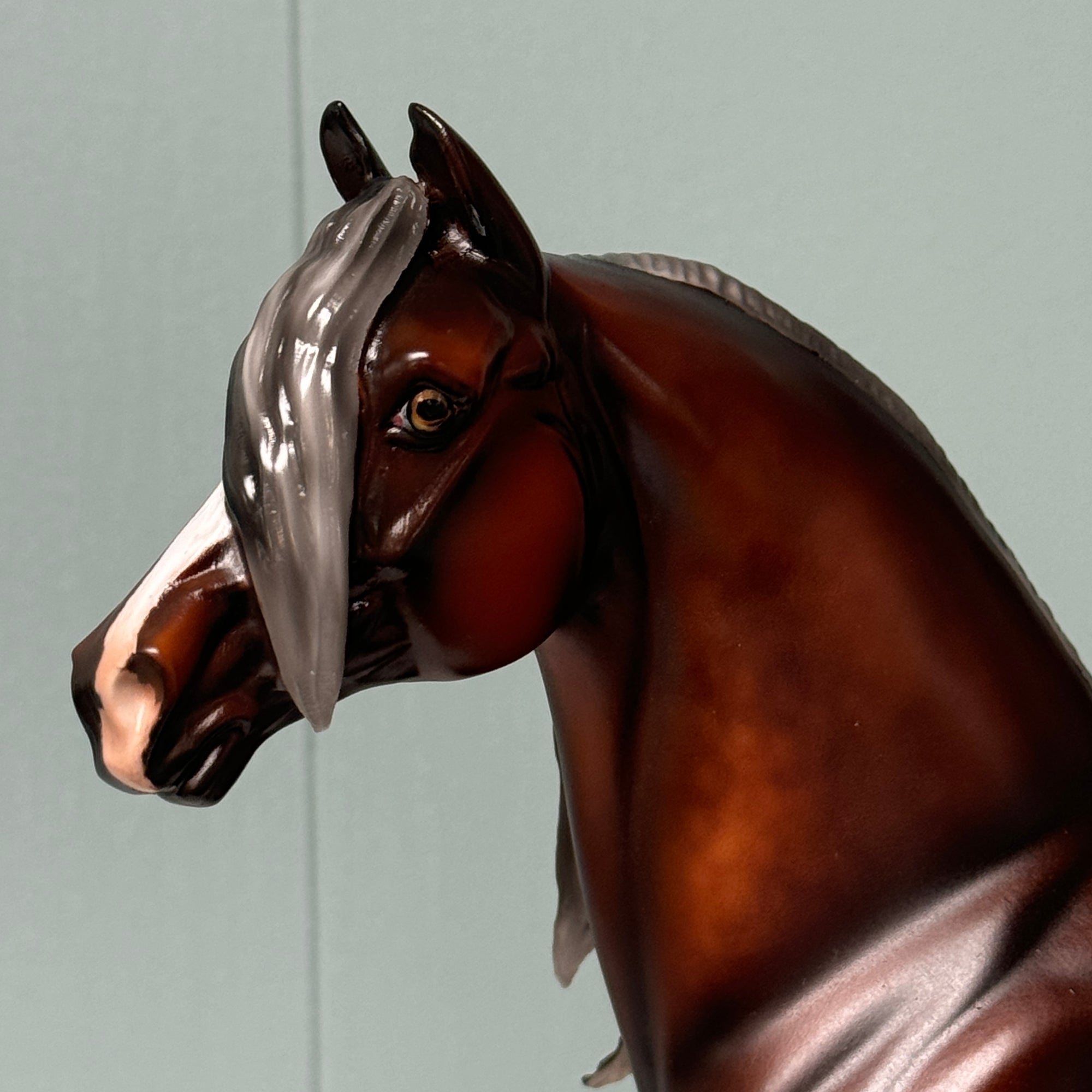 Coy OOAK  Dappled Silver Bay Morgan By Julie Keim EQ24