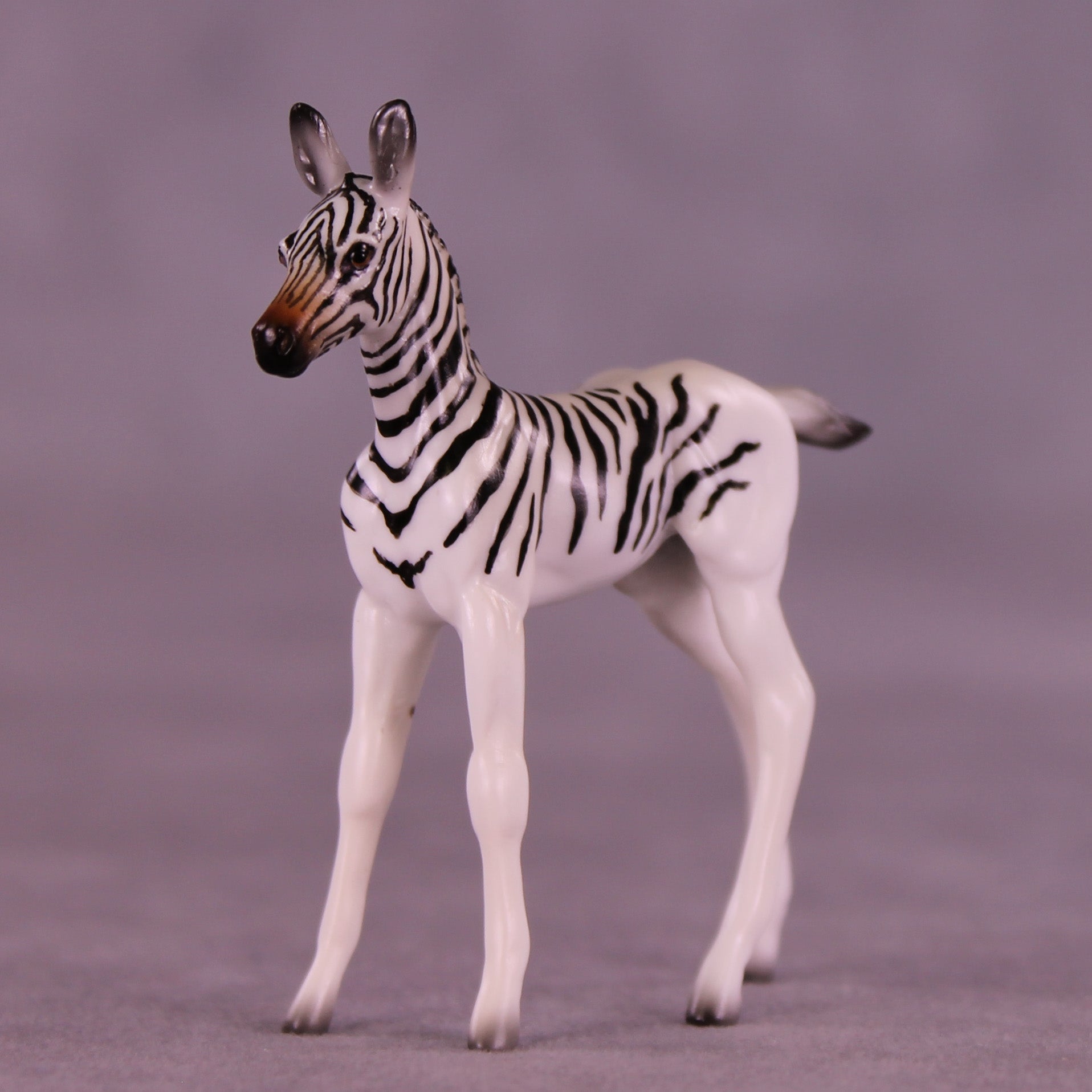 Mini Monife OOAK EFCM Chip Foal by Jess Hamill &amp; Melanie Miller SCD26