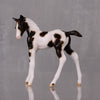 Cocoa OOAK Customized Chip Foal By Andrea Thomason LHS24 MHP