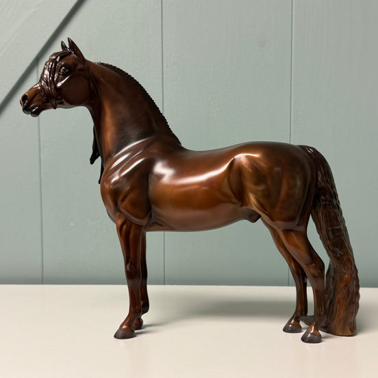 Ardian OOAK Dappled Dark Chestnut Morgan By Julie Keim EQ24