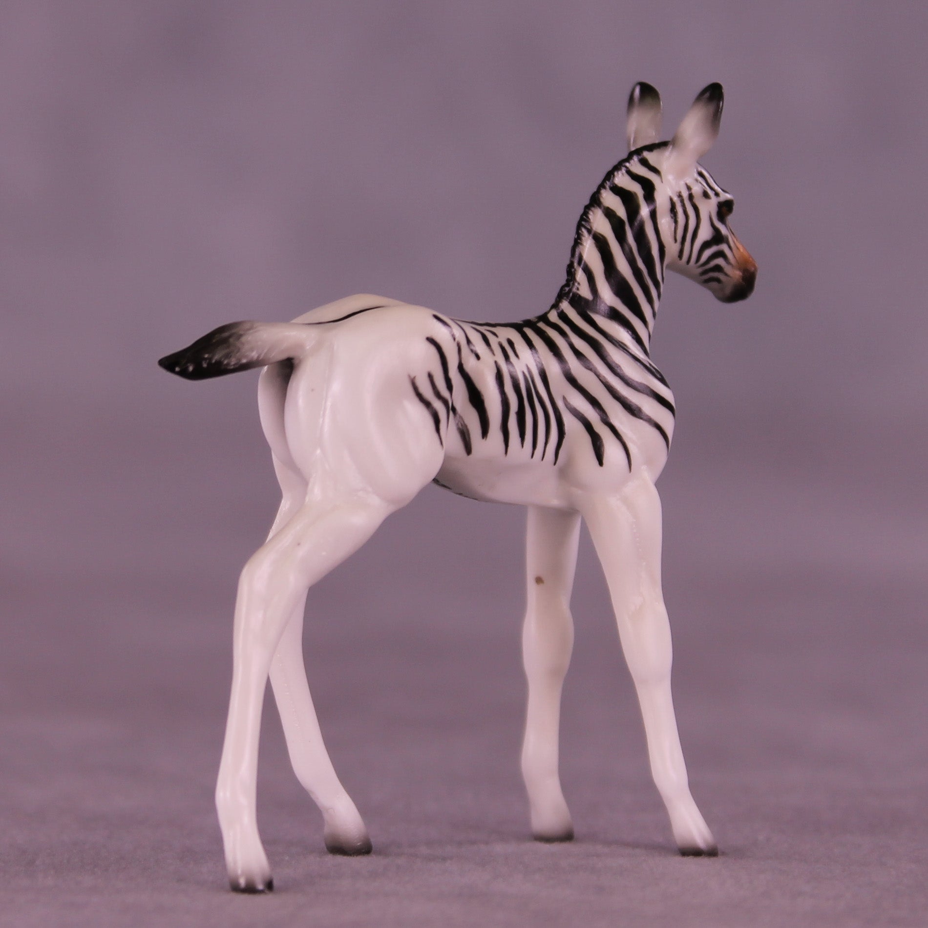 Mini Monife OOAK EFCM Chip Foal by Jess Hamill &amp; Melanie Miller SCD26