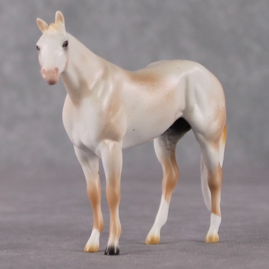 Stock Horse Chip Grab Bag - January 2025 We've Got History Shakespeare Chips Painted By Ellen Robbins CL25