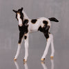 Cocoa OOAK Customized Chip Foal By Andrea Thomason LHS24 MHP