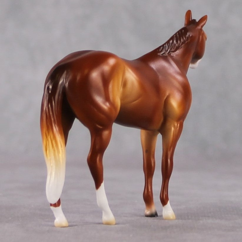 Stock Horse Chip Grab Bag - January 2025 We've Got History Shakespeare Chips Painted By Ellen Robbins CL25