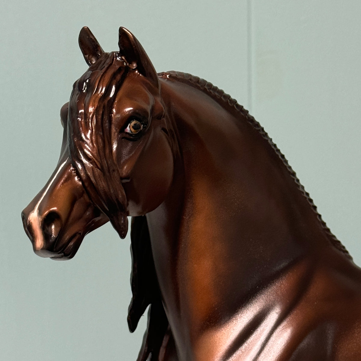 Ardian OOAK Dappled Dark Chestnut Morgan By Julie Keim EQ24