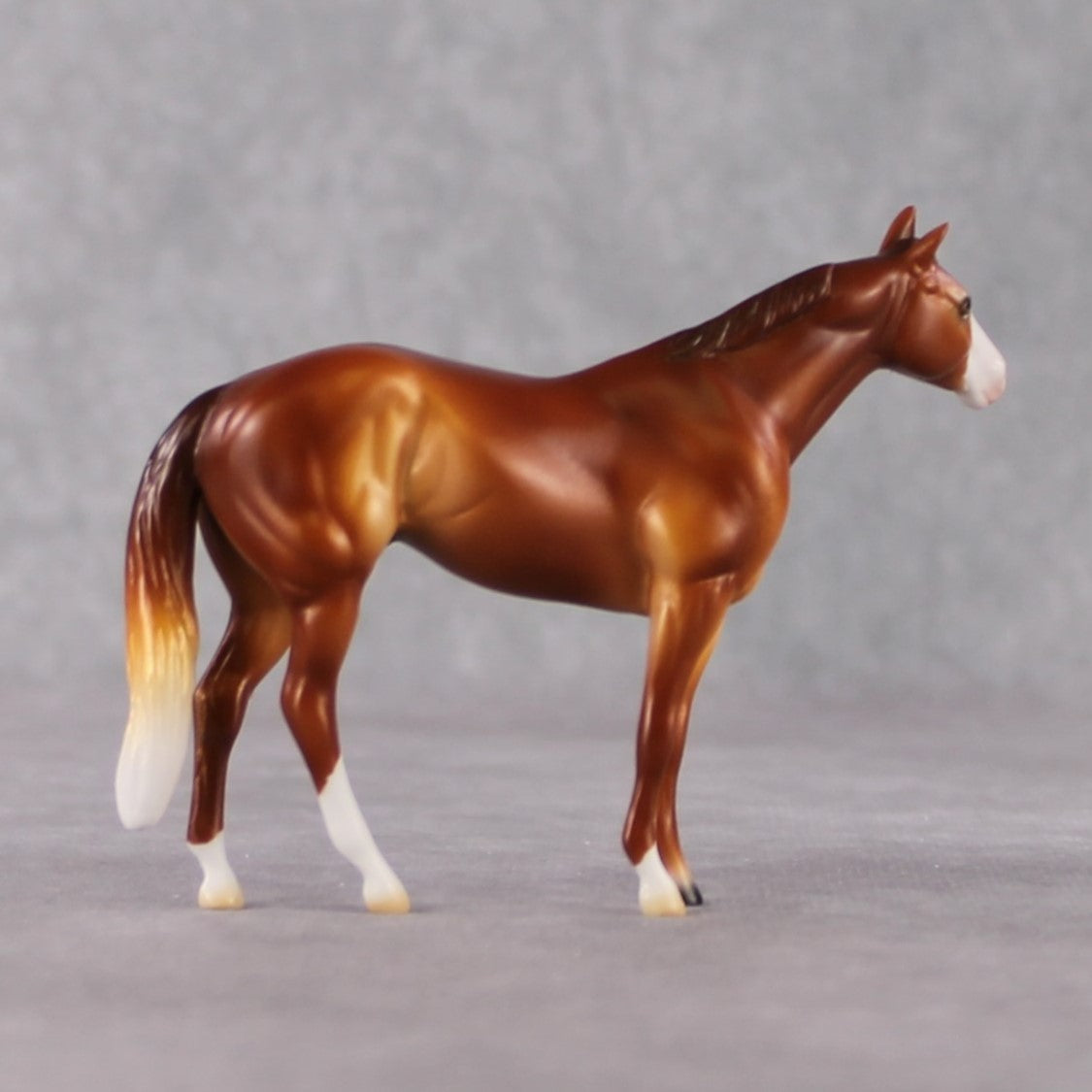 Stock Horse Chip Grab Bag - January 2025 We've Got History Shakespeare Chips Painted By Ellen Robbins CL25