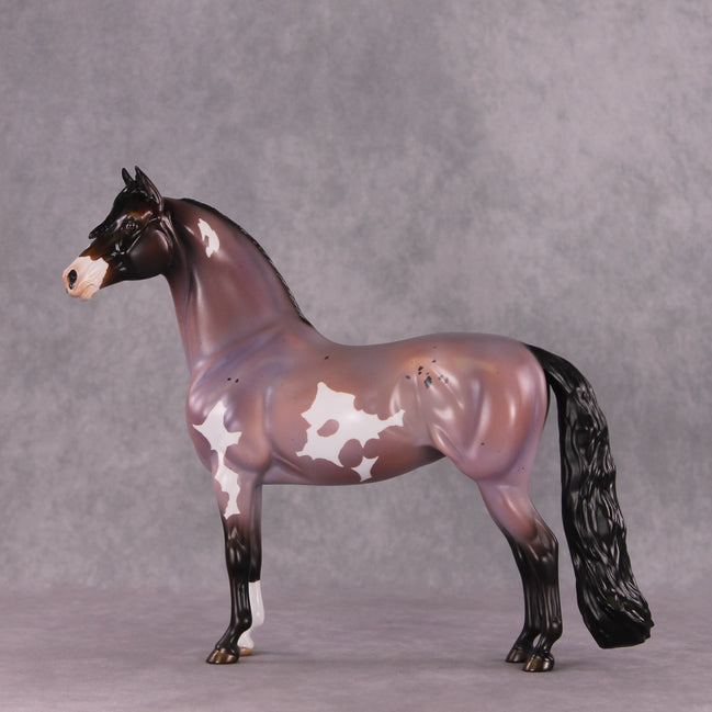 "Calliope" OOAK FCM Morgan Mare by Angela Marleau SHCF25