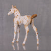 Cashew OOAK Appaloosa Chip Foal By Andrea Thomason LHS24 MHP