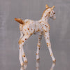 Cashew OOAK Appaloosa Chip Foal By Andrea Thomason LHS24 MHP