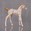 Cashew OOAK Appaloosa Chip Foal By Andrea Thomason LHS24 MHP