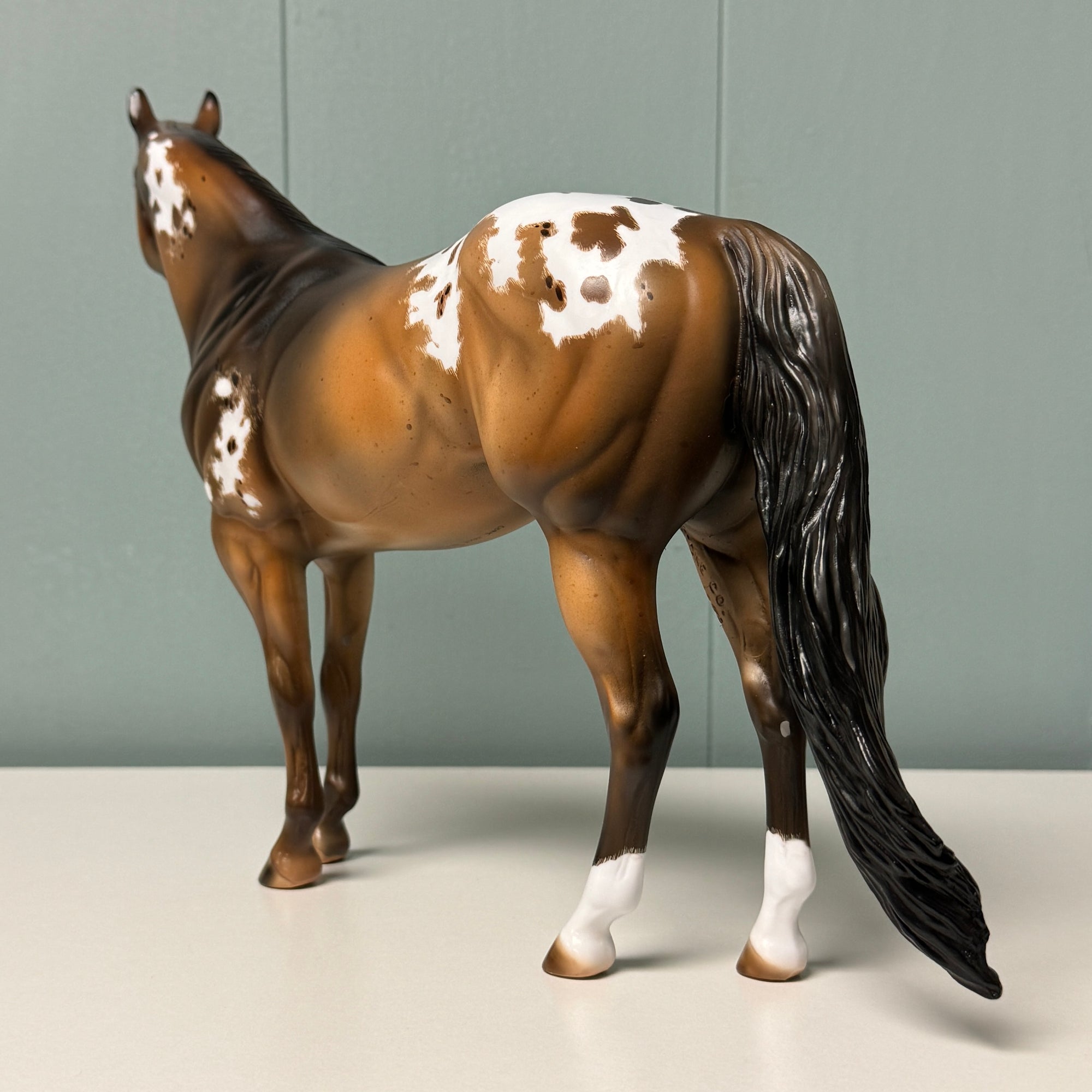 Calhoun OOAK Sooty Buckskin Appaloosa Ideal Stock Horse By Julie Keim EQ24