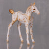 Cashew OOAK Appaloosa Chip Foal By Andrea Thomason LHS24 MHP