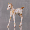 Cashew OOAK Appaloosa Chip Foal By Andrea Thomason LHS24 MHP