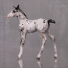 Licorice OOAK Customized Appaloosa Chip Foal By Andrea Thomason LHS24 MHP