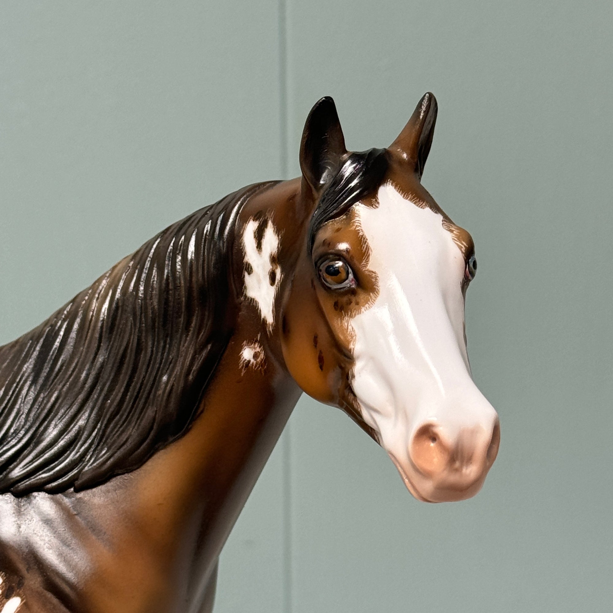 Calhoun OOAK Sooty Buckskin Appaloosa Ideal Stock Horse By Julie Keim EQ24