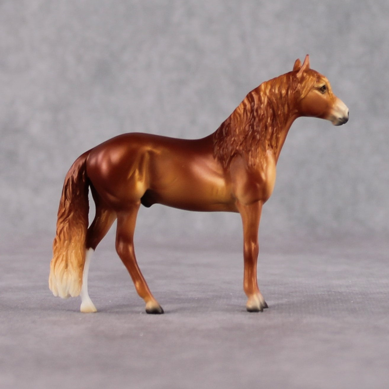 Andalusian Chip Grab Bag - January 2025 We've Got History Shakespeare Chips Painted By Ellen Robbins CL25