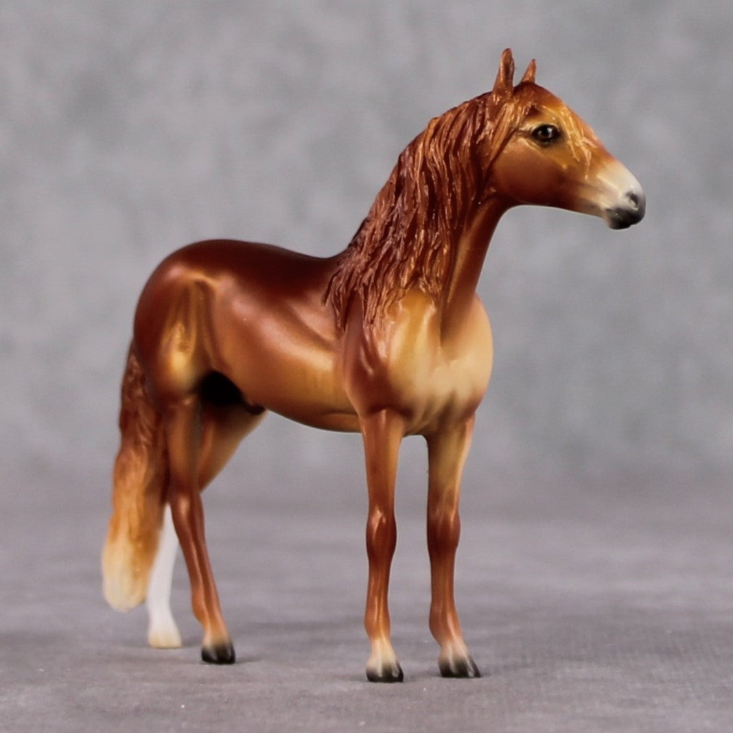 Andalusian Chip Grab Bag - January 2025 We've Got History Shakespeare Chips Painted By Ellen Robbins CL25