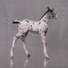 Licorice OOAK Customized Appaloosa Chip Foal By Andrea Thomason LHS24 MHP