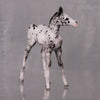 Licorice OOAK Customized Appaloosa Chip Foal By Andrea Thomason LHS24 MHP