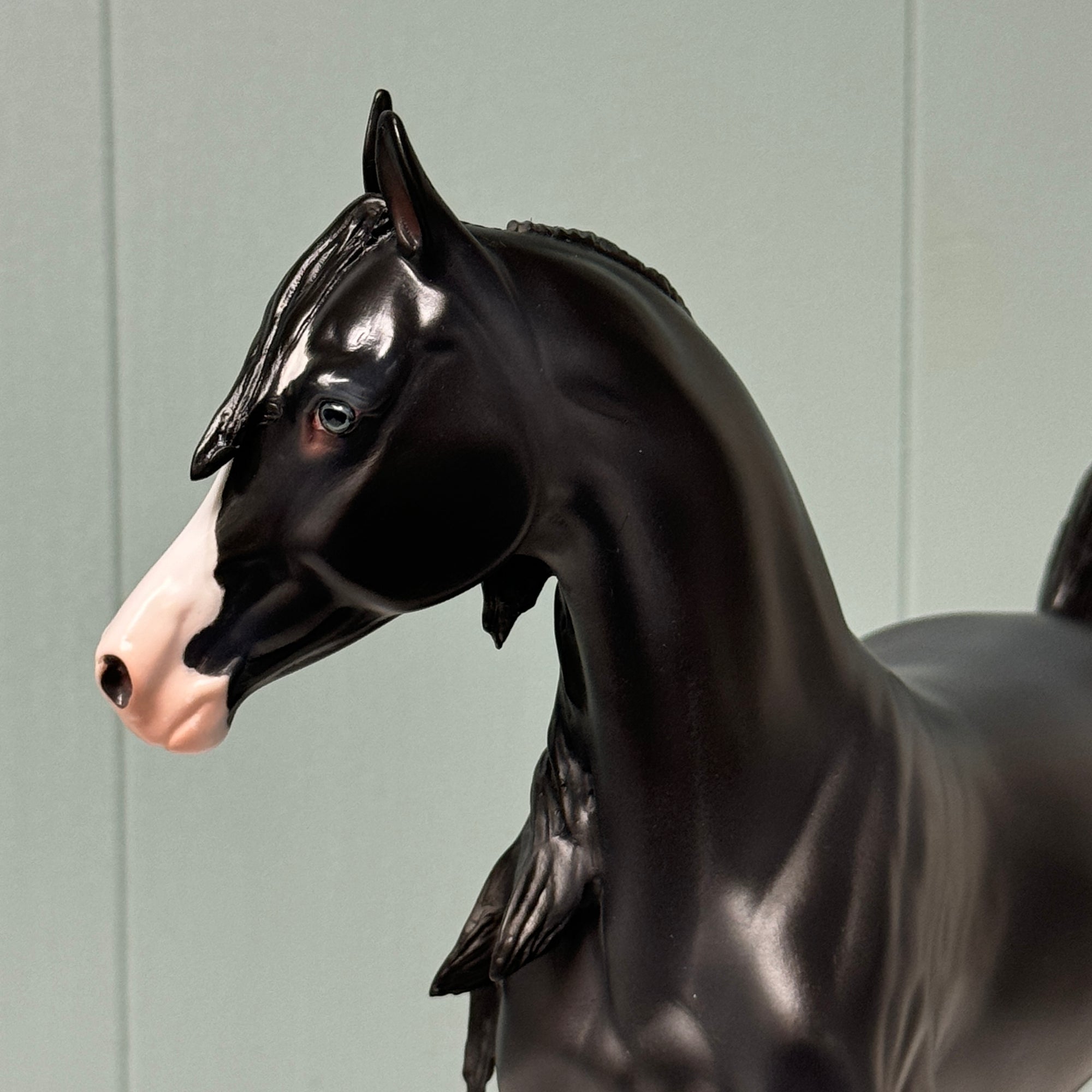Kate OOAK Black W/ Light Mapping on Face &amp; Leg Markings Arabian Mare By Jess Hamill EQ24