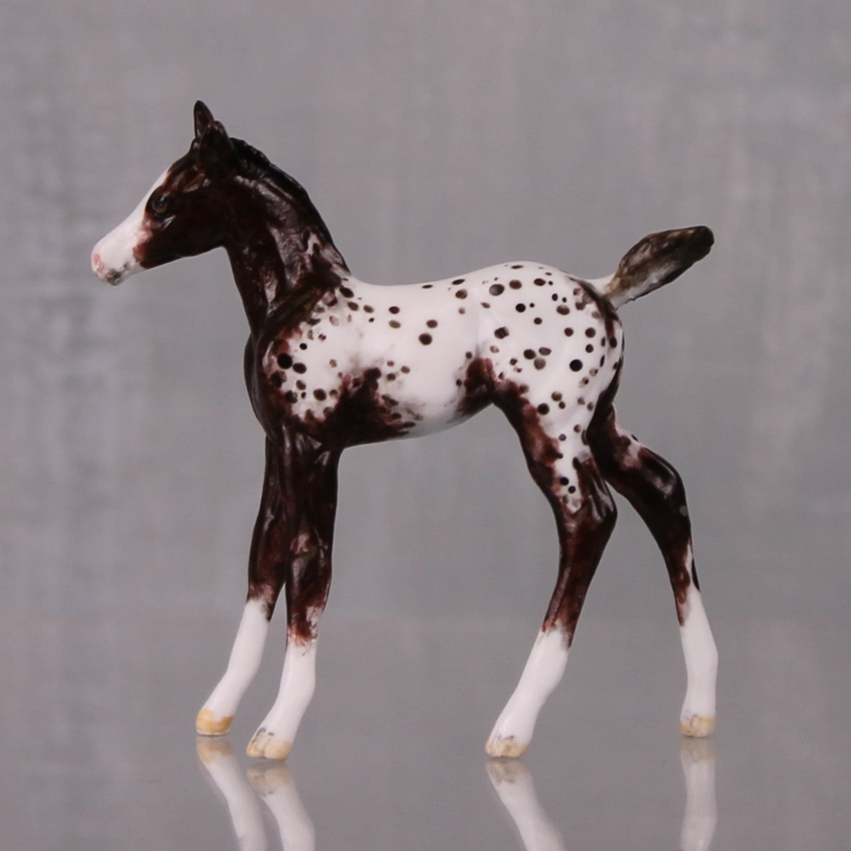 Mocha OOAK Customized Appaloosa Chip Foal By Andrea Thomason LHS24 MHP