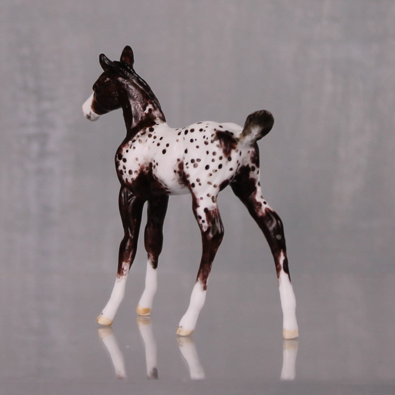 Mocha OOAK Customized Appaloosa Chip Foal By Andrea Thomason LHS24 MHP