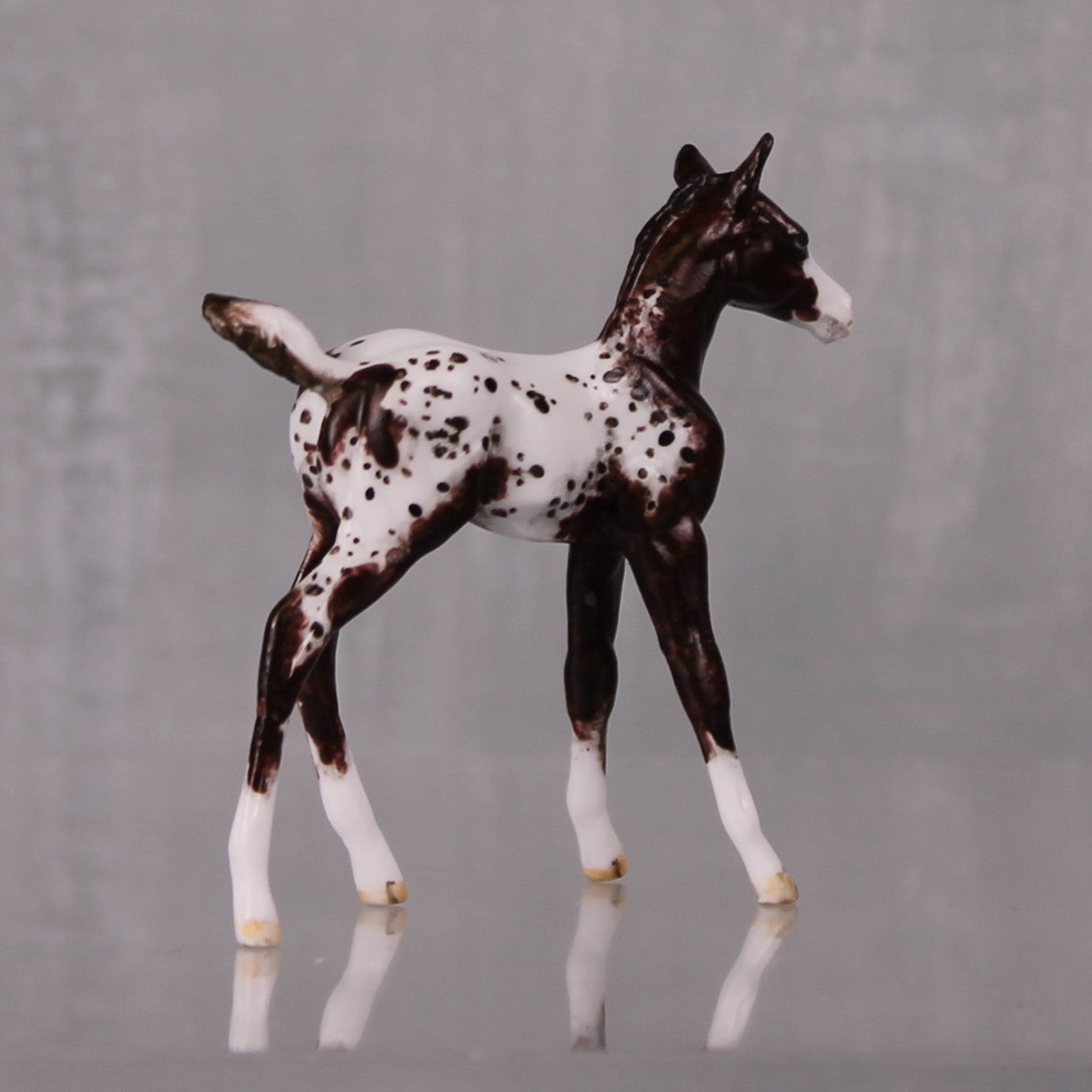 Mocha OOAK Customized Appaloosa Chip Foal By Andrea Thomason LHS24 MHP