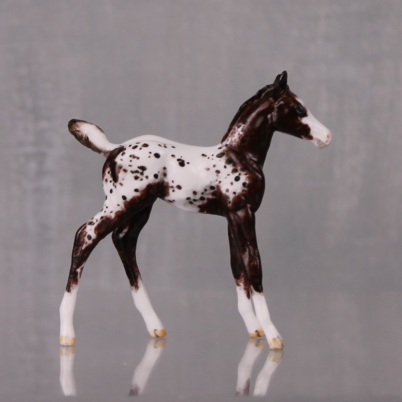 Mocha OOAK Customized Appaloosa Chip Foal By Andrea Thomason LHS24 MHP