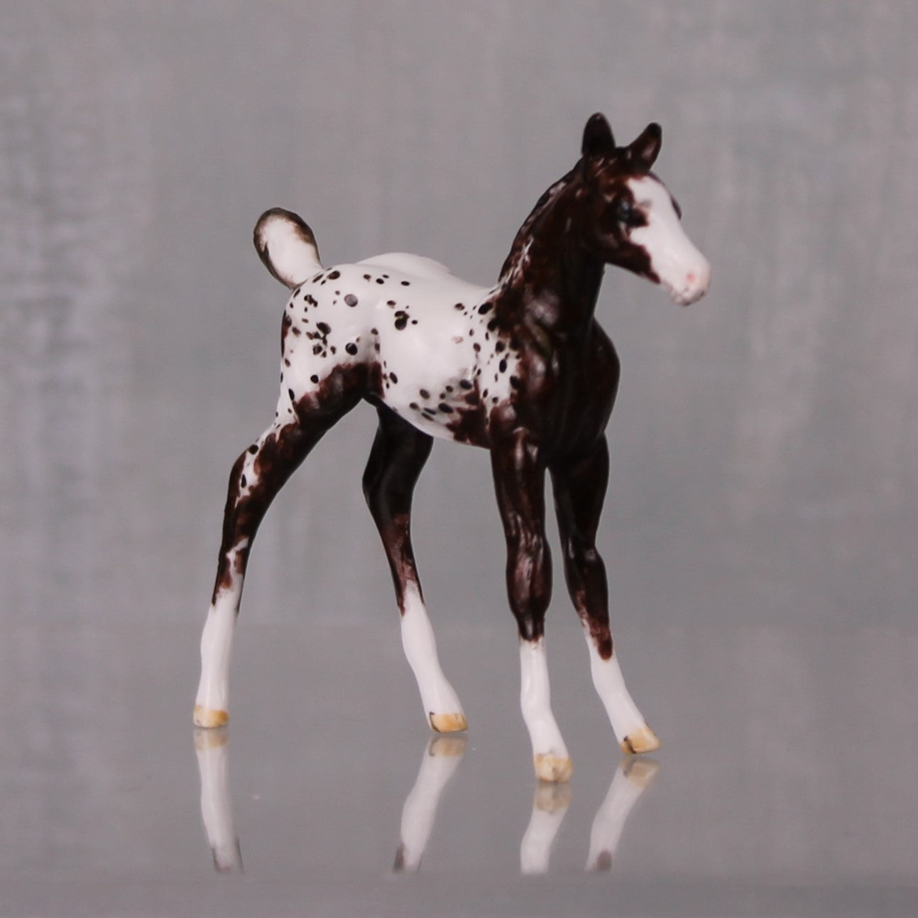 Mocha OOAK Customized Appaloosa Chip Foal By Andrea Thomason LHS24 MHP