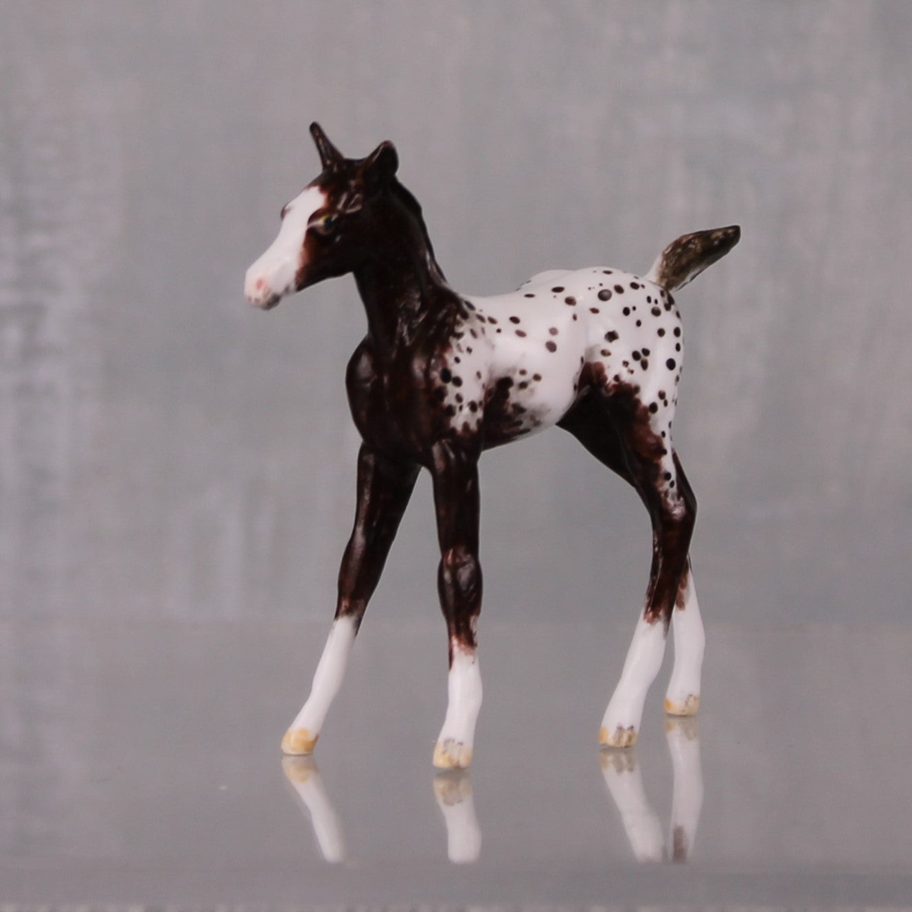 Mocha OOAK Customized Appaloosa Chip Foal By Andrea Thomason LHS24 MHP