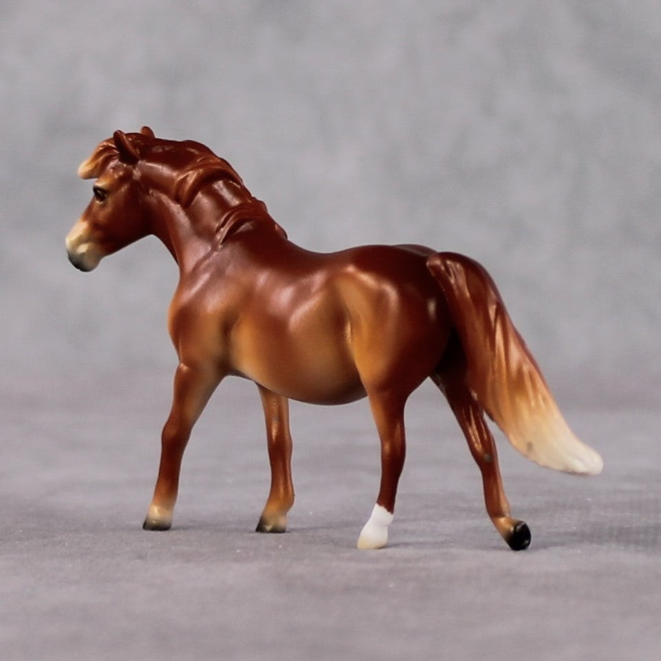 Pony Chip Grab Bag - January 2025 We've Got History Shakespeare Chips Painted By Ellen Robbins CL25