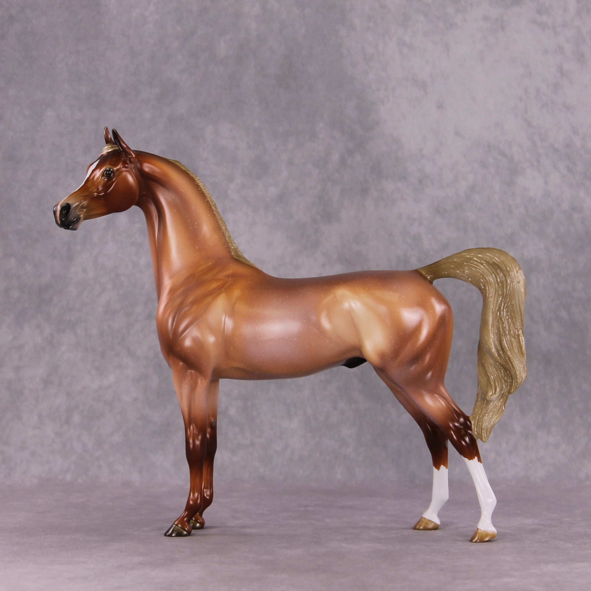 "Scampi" OOAK Arabian by Angela Marleau SHCF25OS