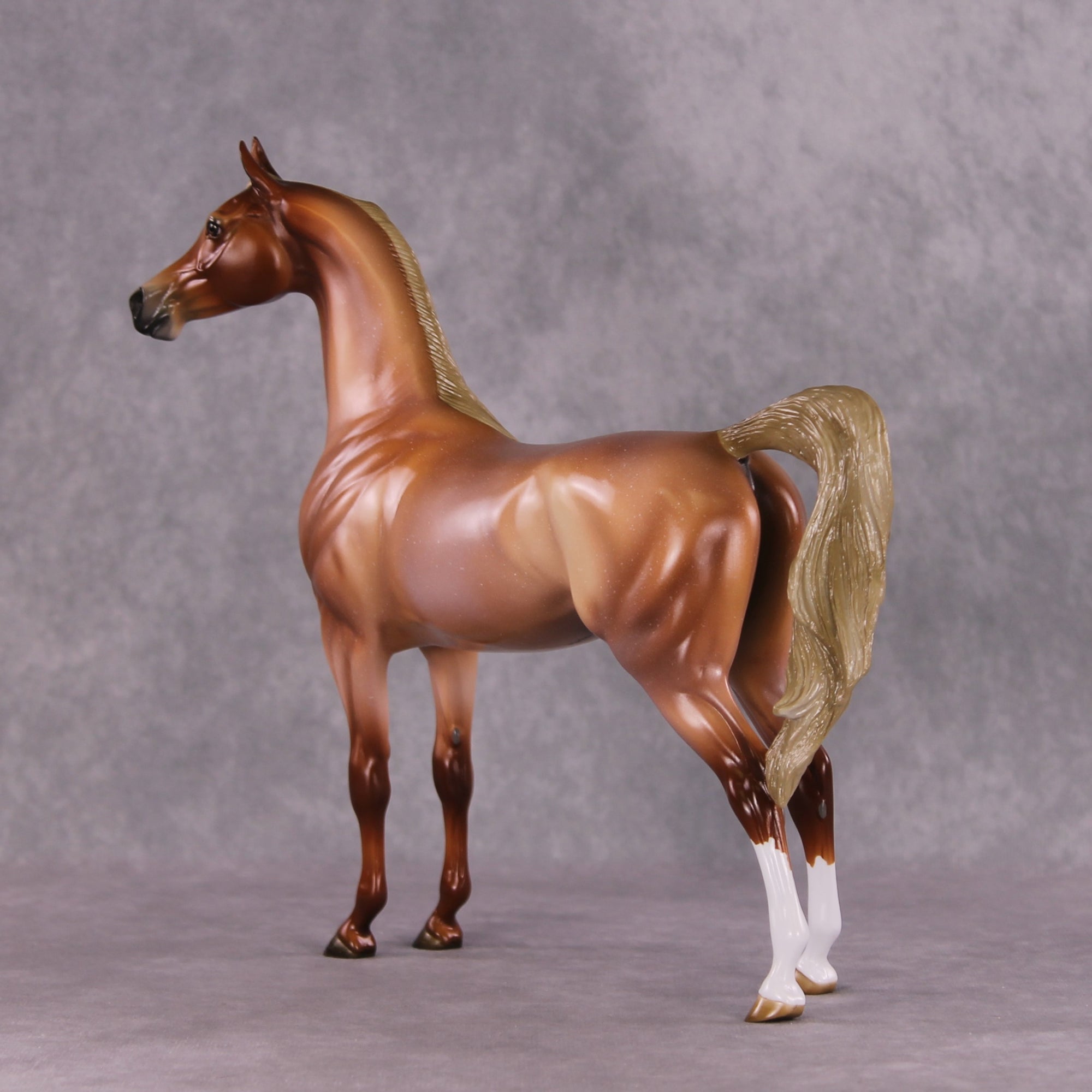 "Scampi" OOAK Arabian by Angela Marleau SHCF25OS