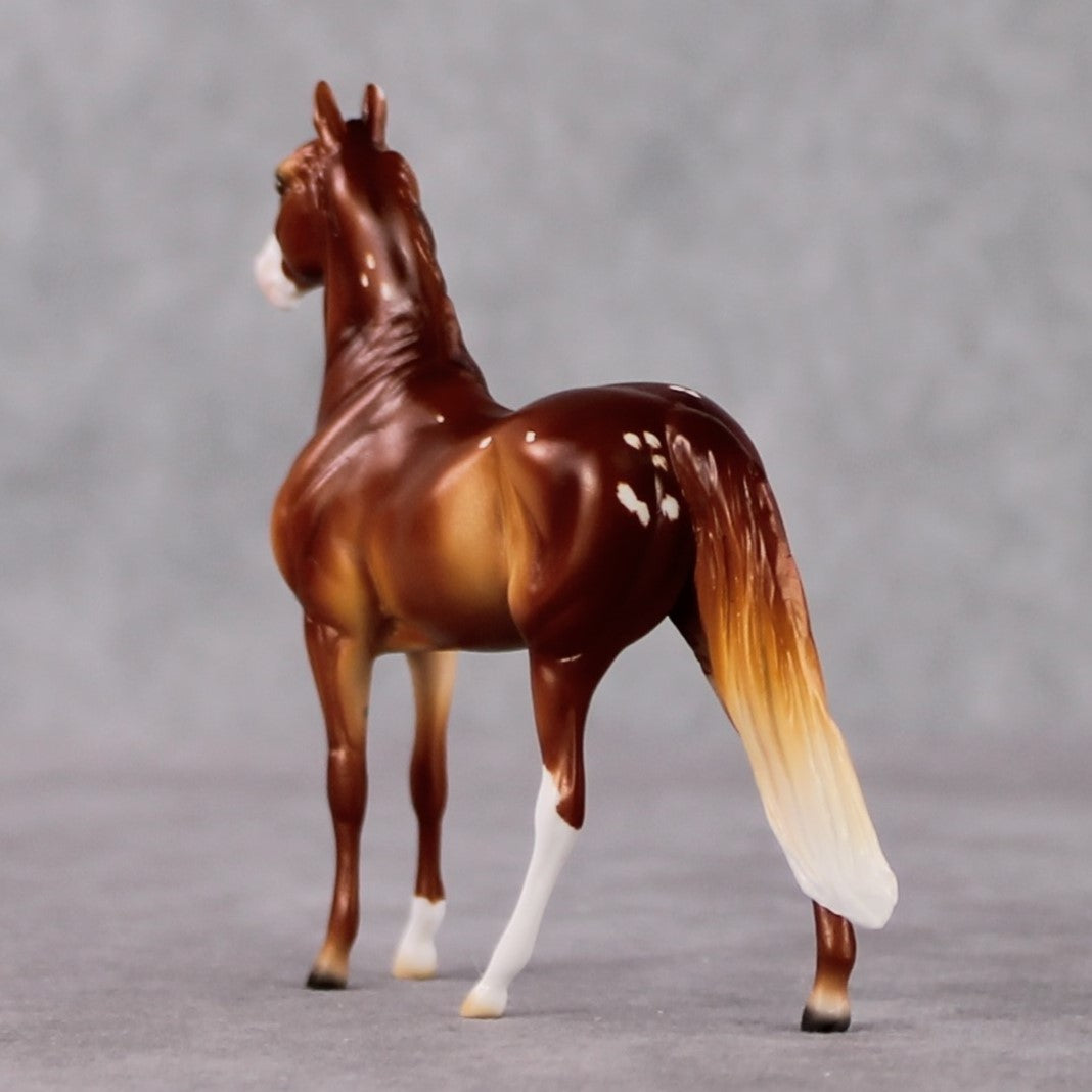 Morgan Chip Grab Bag - January 2025 We've Got History Shakespeare Chips Painted By Ellen Robbins CL25