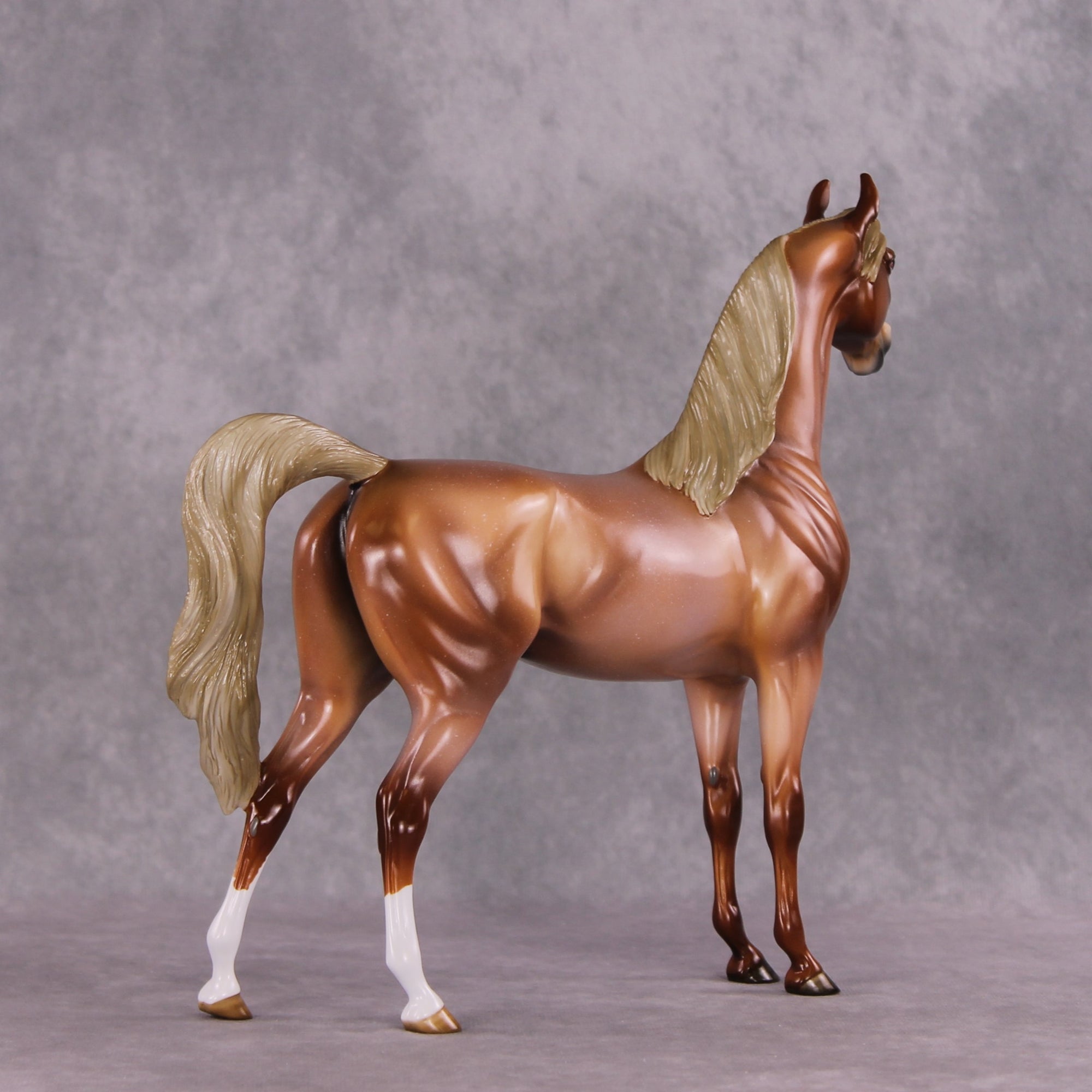 "Scampi" OOAK Arabian by Angela Marleau SHCF25OS