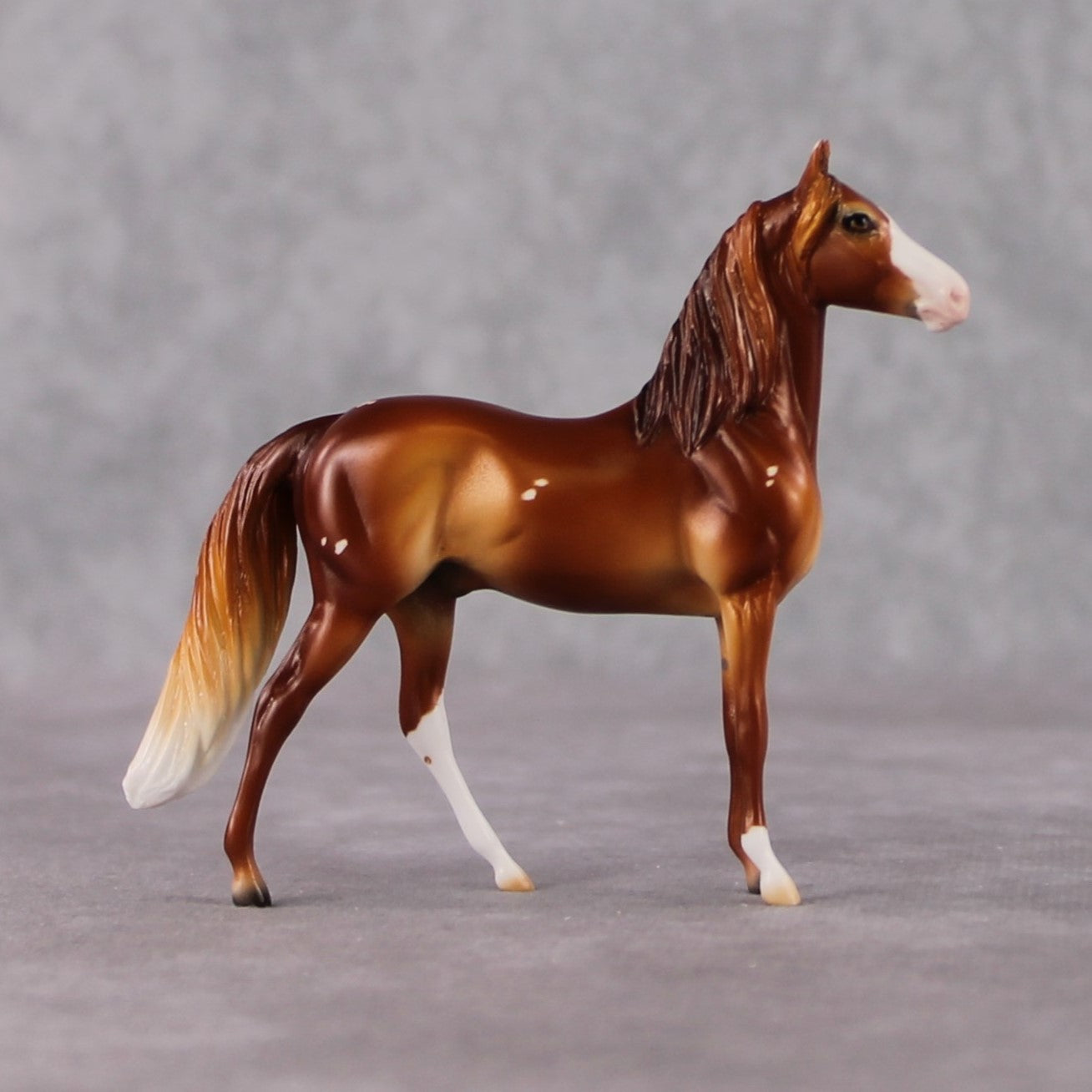 Morgan Chip Grab Bag - January 2025 We've Got History Shakespeare Chips Painted By Ellen Robbins CL25