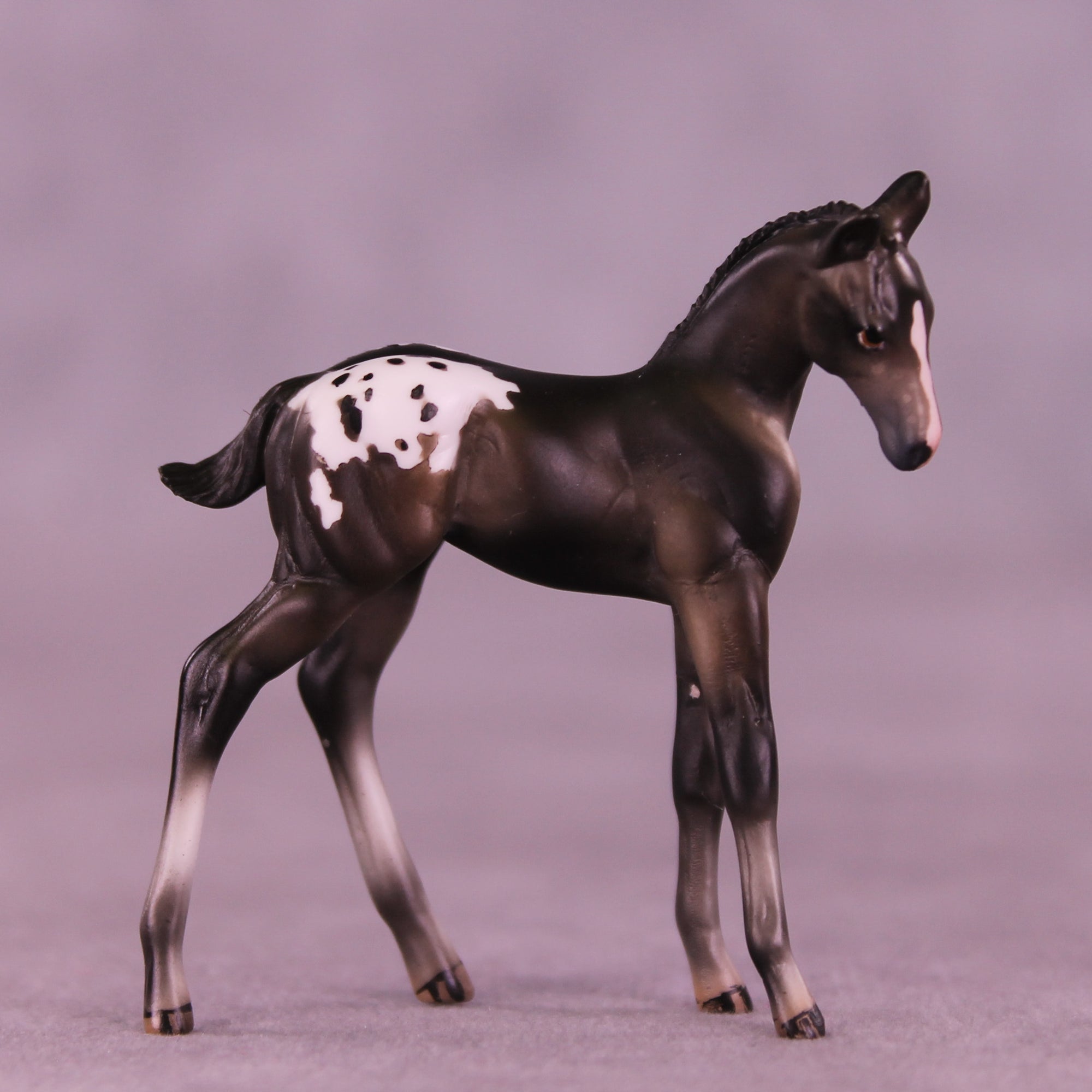 Mini Buckinghamshire OOAK EFCM Chip Foal by Julie Keim &amp; Carissa Matthews SCD26
