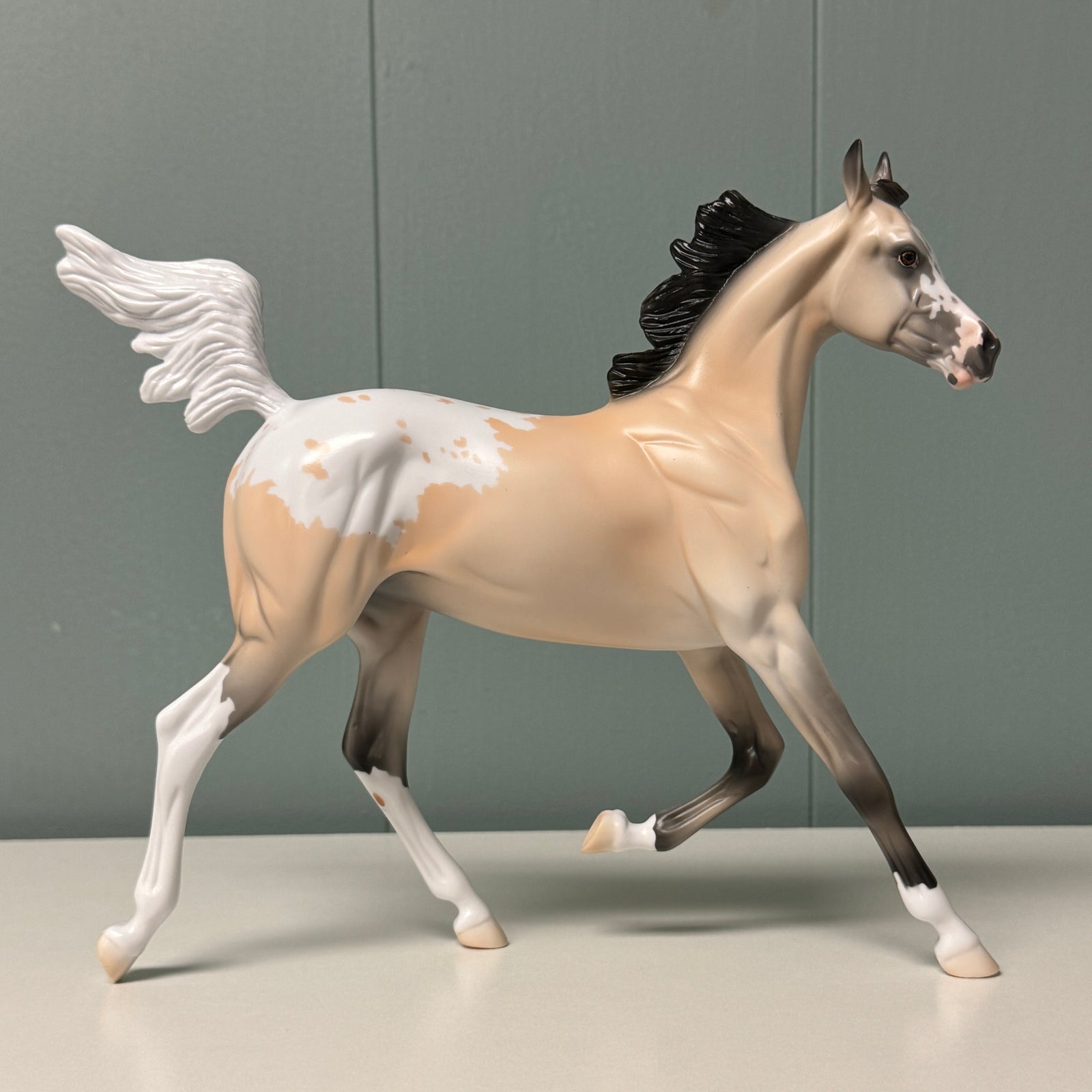 Rae OOAK Buckskin Appaloosa Yearling By Jess Hamill EQ24