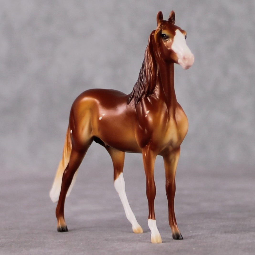 Morgan Chip Grab Bag - January 2025 We've Got History Shakespeare Chips Painted By Ellen Robbins CL25