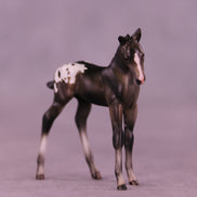 Mini Buckinghamshire OOAK EFCM Chip Foal by Julie Keim & Carissa Matthews SCD26
