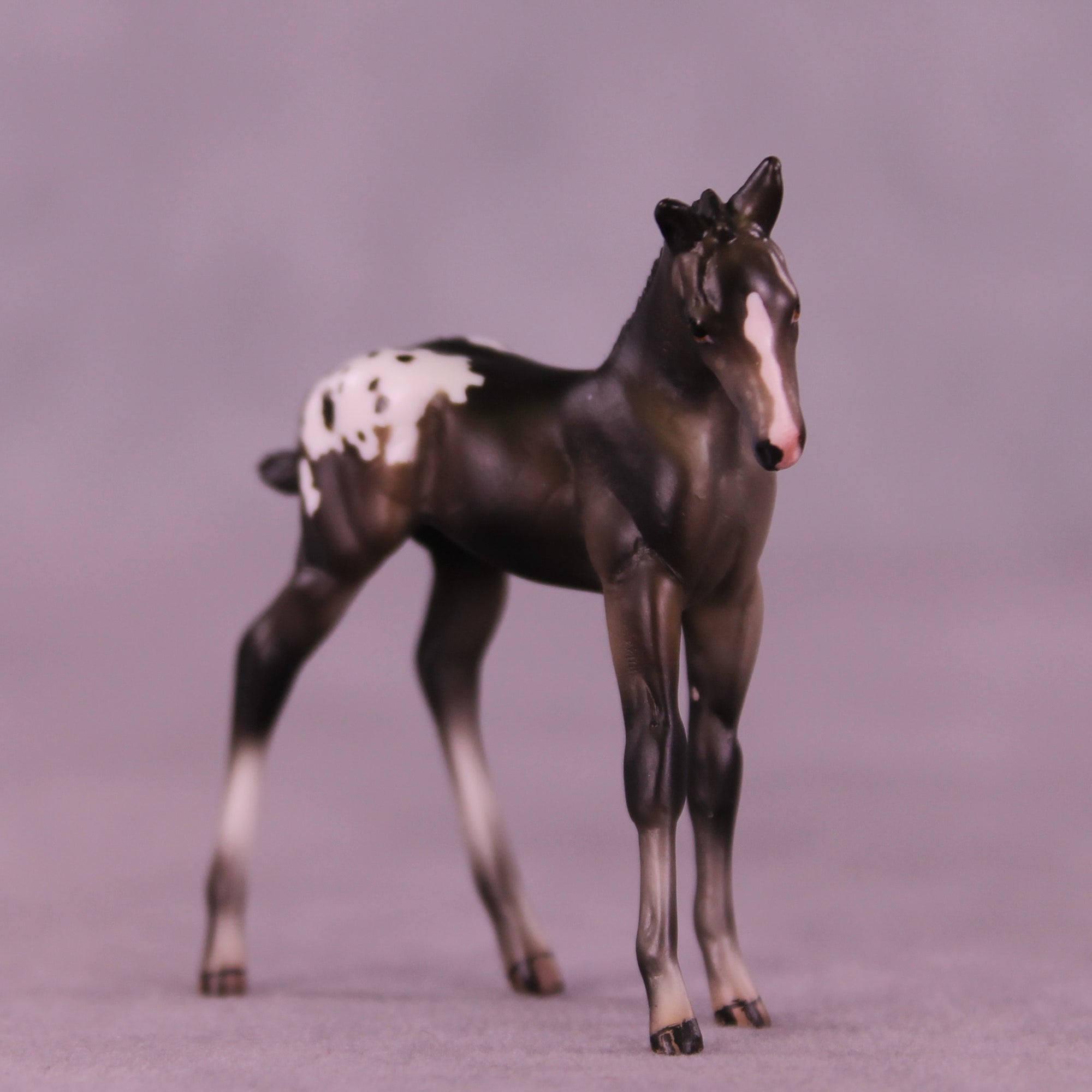 Mini Buckinghamshire OOAK EFCM Chip Foal by Julie Keim &amp; Carissa Matthews SCD26