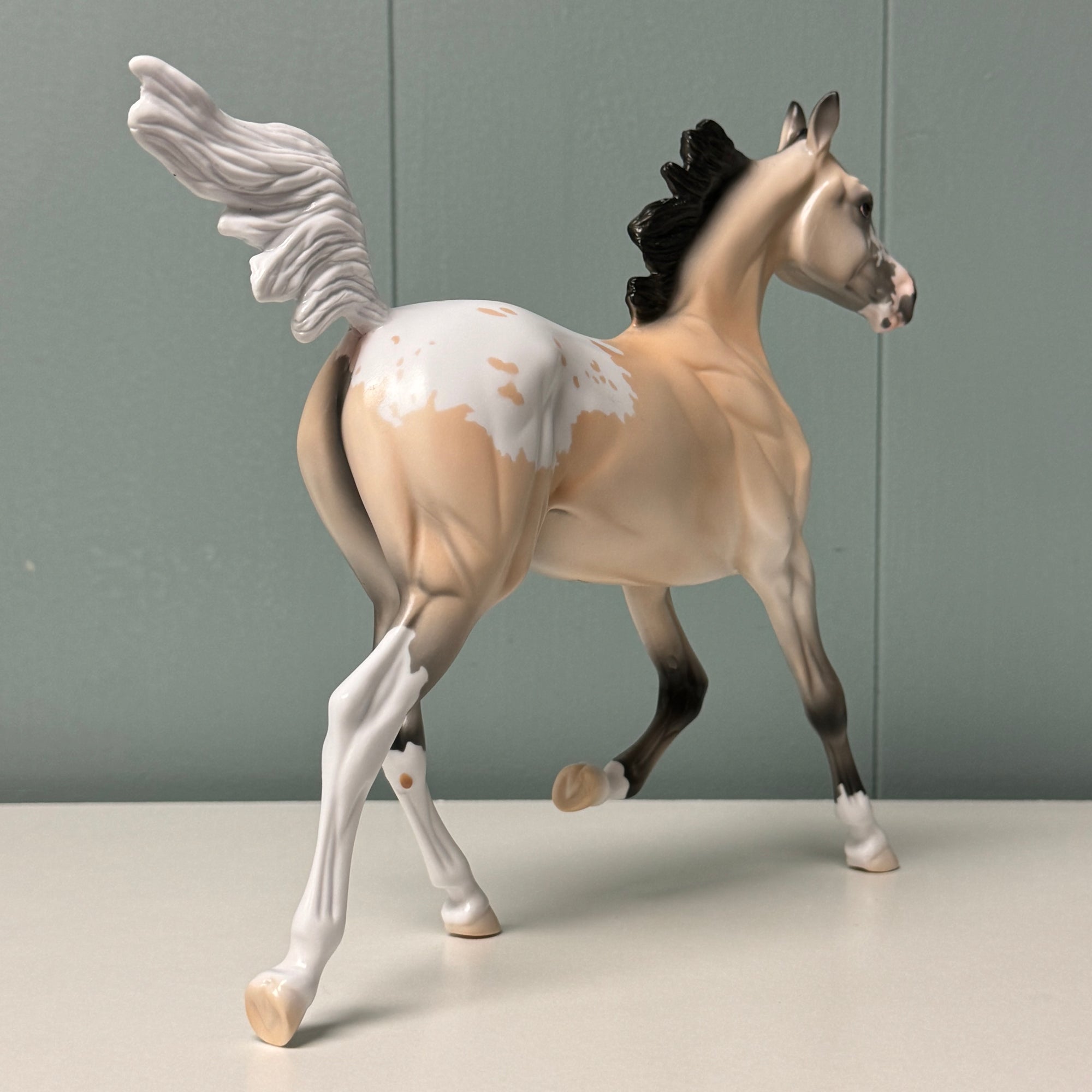 Rae OOAK Buckskin Appaloosa Yearling By Jess Hamill EQ24