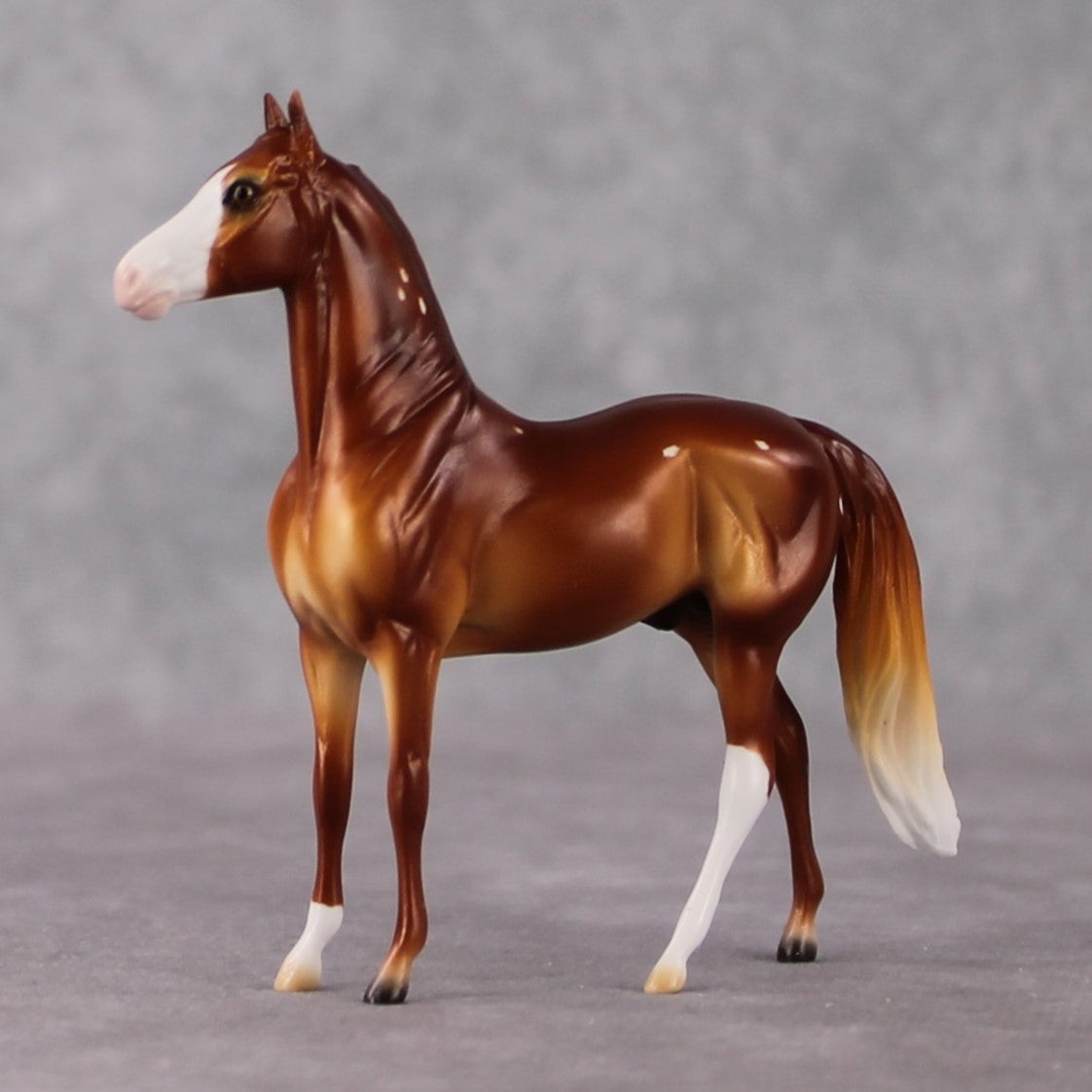 Morgan Chip Grab Bag - January 2025 We've Got History Shakespeare Chips Painted By Ellen Robbins CL25