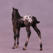 Mini Buckinghamshire OOAK EFCM Chip Foal by Julie Keim & Carissa Matthews SCD26