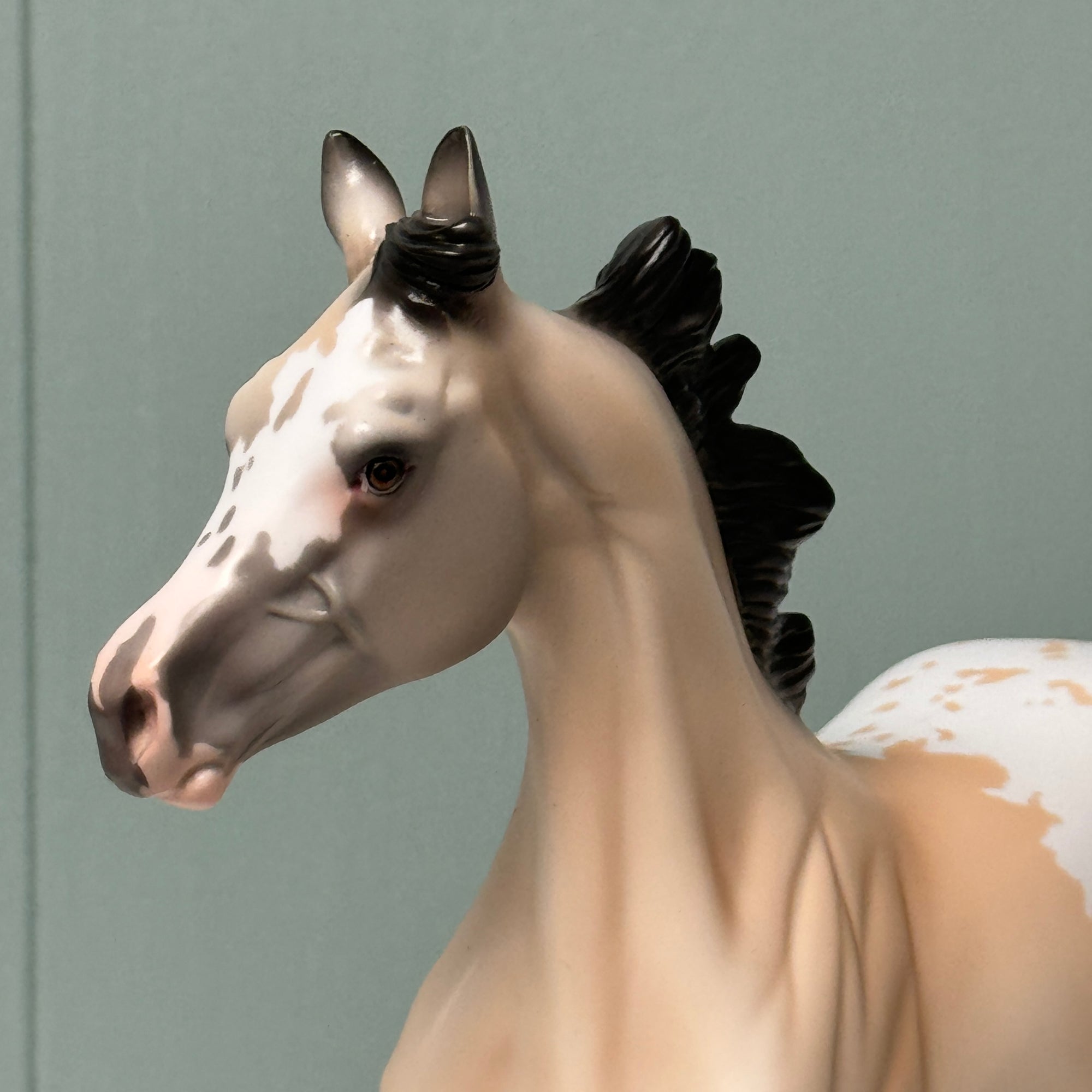 Rae OOAK Buckskin Appaloosa Yearling By Jess Hamill EQ24