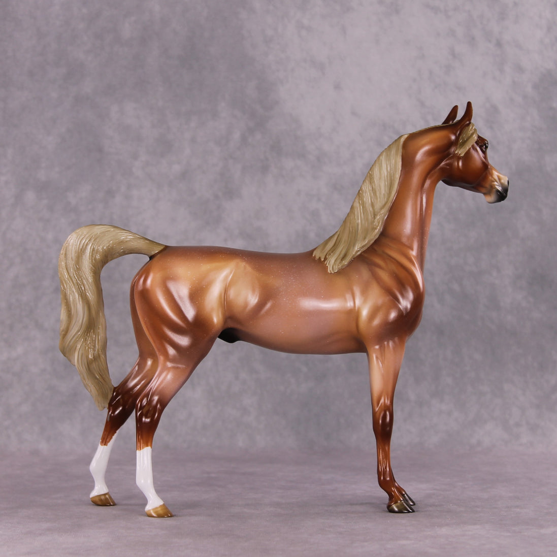 "Scampi" OOAK Arabian by Angela Marleau SHCF25OS